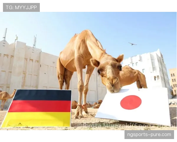 日本世界杯旅欧军团达到什么规模 日本世界杯旅欧军团达到什么规模